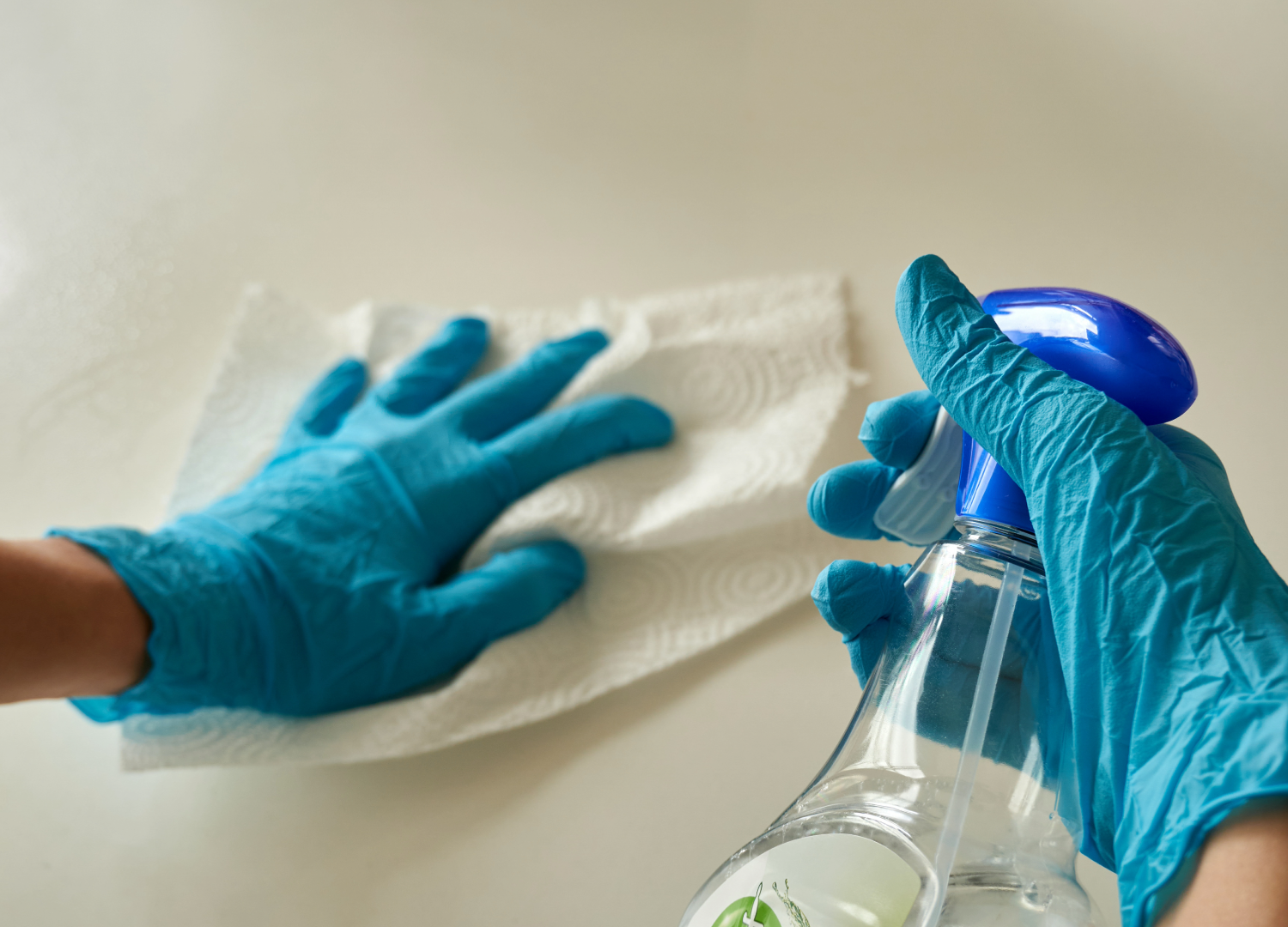 Disposable Plastic Gloves | Gloves | Disposable PPE