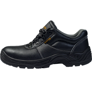 Armour Safety Shoe