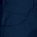 Brixton Pants