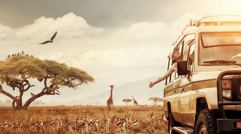 Lady in safari car enjoying wildlife - safari wear for ladies - safari clothes