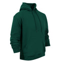 Unisex Phoenix Hoodie