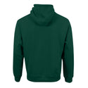 Unisex Phoenix Hoodie