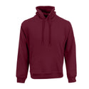 Unisex Phoenix Hoodie