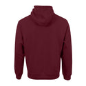 Unisex Phoenix Hoodie