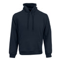 Unisex Phoenix Hoodie