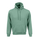 Unisex Phoenix Hoodie