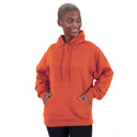 Unisex Phoenix Hoodie