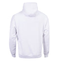 Unisex Phoenix Hoodie