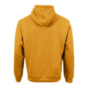 Unisex Phoenix Hoodie