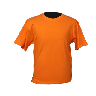 Orange Crew neck T-shirt 160g