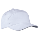 6 Panel Carbon Cap