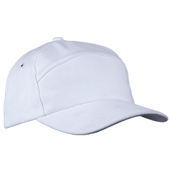 6 Panel Carbon Cap