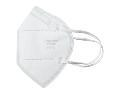Pioneer Foldable FFP2 Dust Masks with Valve