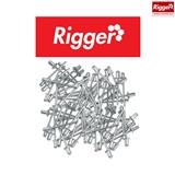 Rivet Pop Size: Fap4818Pec-Pkt 100