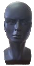 Head Display Mould