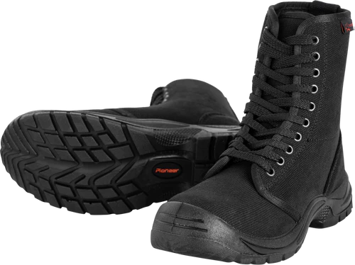 Pioneer Security Boot