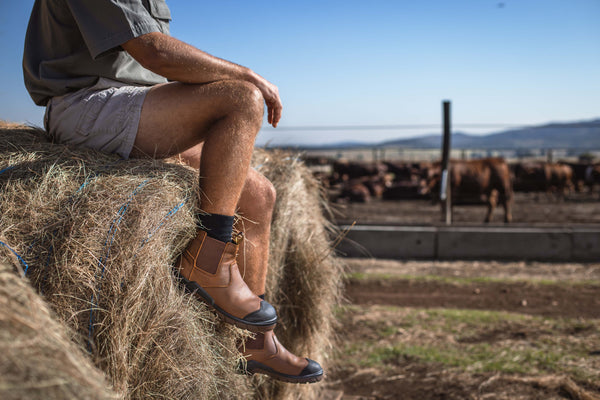 Ripsaw Safety Boot: Brown work boot with laces, full-grain leather upper, and a durable sole.