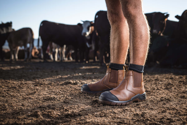 Ripsaw Safety Boot: Brown work boot with laces, full-grain leather upper, and a durable sole.